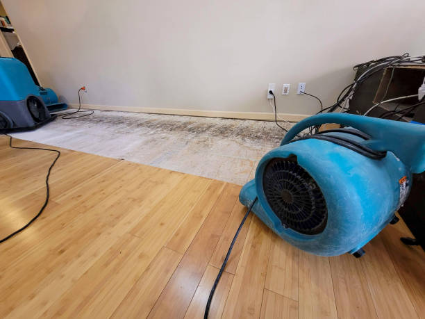 Professional Basement Flood Cleanup technician working in Eglon, WV
